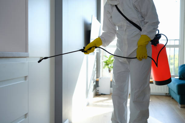 Best Mold Remediation Services  in Shields, MI